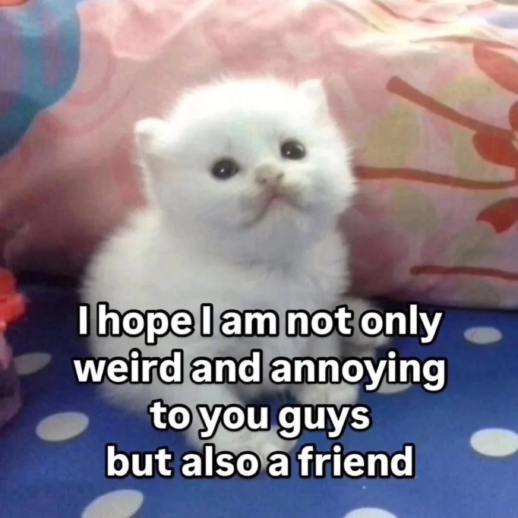 An image of a small kitten sitting and looking upwards. Overlaid text reads: "I hope I am not only weird and annoying to you guys but also a friend"
